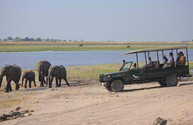 Un safari en 9 días con todo incluido en Botswana