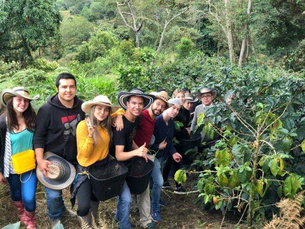 viaje completo a colombia medellin bogota cartagena eje cafetero