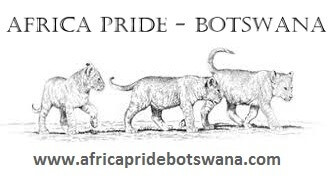 Africa Pride