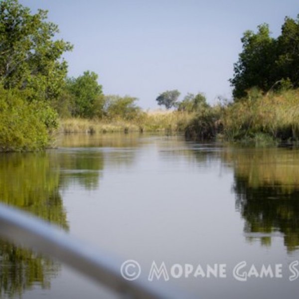 Safari móvil de lujo por el norte de Botswana