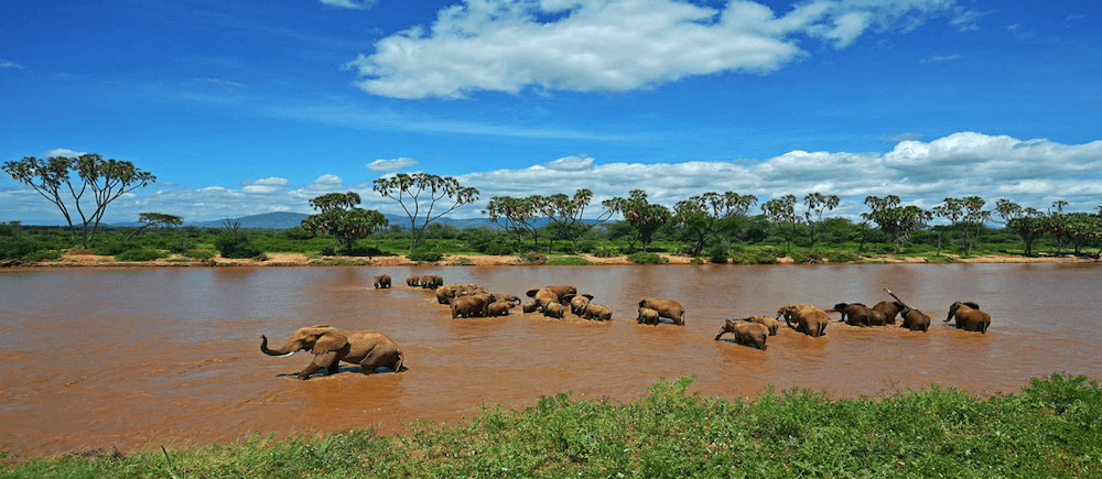 Safari ‘Lo Mejor del Rift’ en 8 días en Kenya