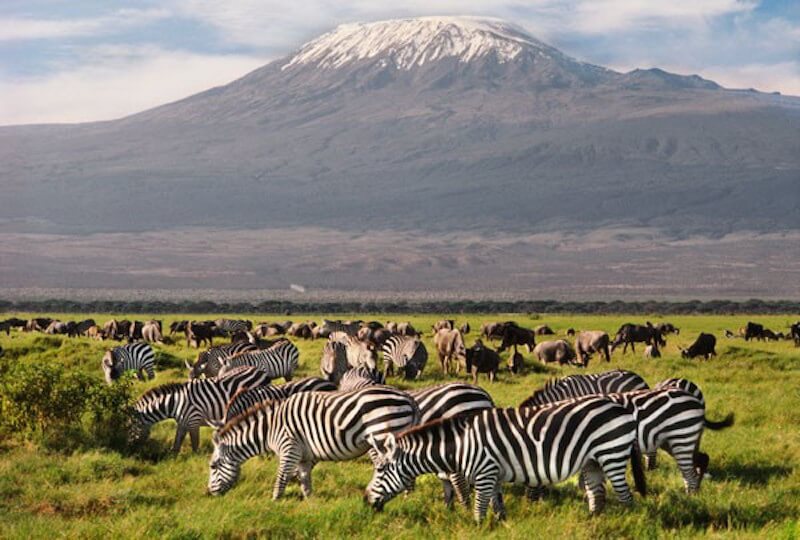 Safari estrella: Lo mejor de Kenia y Tanzania en 10 días