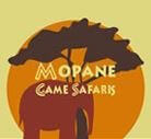 Mopane Game Safaris