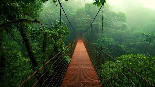Costa Rica y sus parques naturales