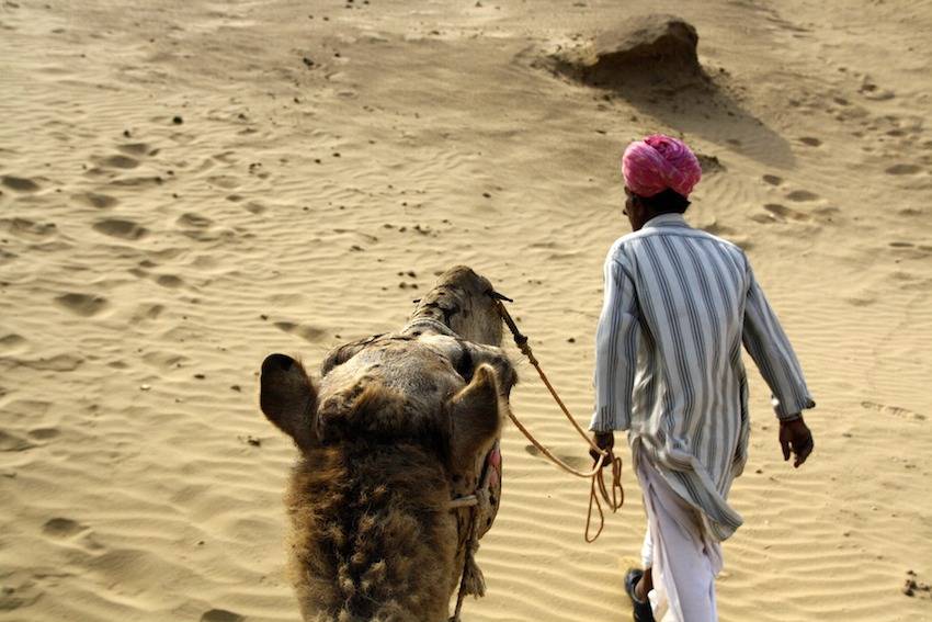 Lo mejor de Rajastán: De Jaipur al desierto