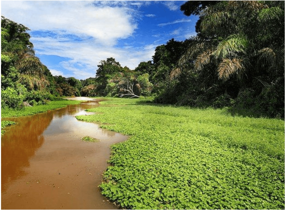 Costa Rica para amantes de la naturaleza
