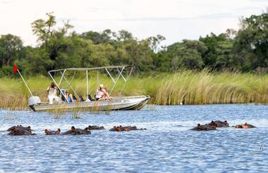 Safari en “clase business” por Botswana